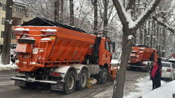 Фотография к новости: Фоторепортаж: Алматыға қалың қар жауды