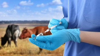 Фотография к новости: Жетісуда жануарларды жұқпалы ауруларға қарсы жаппай егу басталды