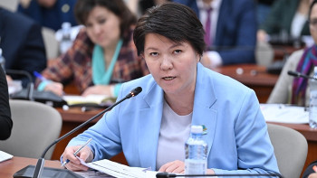 Фотография к новости: Депутат бұрынғы Үкіметке не жетіспегенін айтты