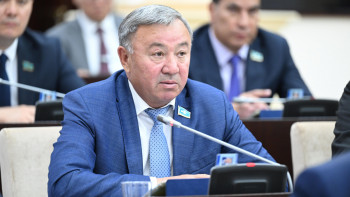 Фотография к новости: Мемлекетке тиімді  мәселелерді шешуіміз керек – депутат