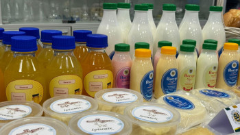 Фотография к новости: Университет білім алушылары бірнеше өнім өндірді