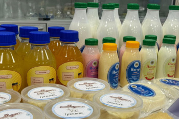 Фотография к новости: Университет білім алушылары бірнеше өнім өндірді