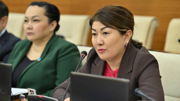 Фотография к новости: Депутат директоры парамен ұсталған өңірдің білім басшысын жауапқа тартуды ұсынды