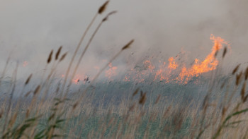 Фотография к новости: Су тасқыны және өрт: Сенатор Павлодар облысының тұрғындарына төнген қауіп туралы айтты