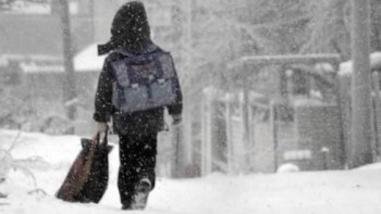 Фотография к новости: Ертең оқушылар мен  колледж студенттері қашықтықтан оқиды