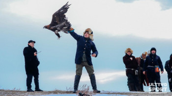 Фотография к новости: Құсбегілік республикалық чемпионат басталды