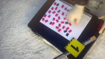 Фотография к новости: Рудныйда синтетика жасырушы ұсталды