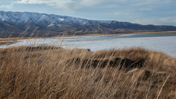 Фотография к новости: Жетісуда өзендер жоғалып барады
