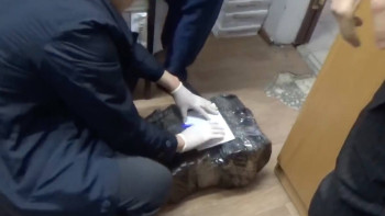 Фотография к новости: Оңтүстікте жүргізуші куәлігін заңсыз берумен айналысқан қылмыстық топ құрықталды