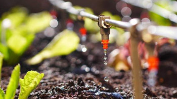 Фотография к новости: Вегетациялық кезеңге дайындық аясында 110 су шаруашылығы жөндеуден өтеді