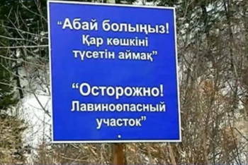 Фотография к новости: ШҚО-да қар көшкіні жүрді