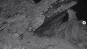 Фотография к новости: Шығыс Қазақстан облысында қар барысы камераға түсіп қалды