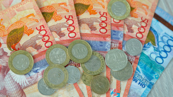 Фотография к новости: ШҚО-да қытай компаниясына 262 млн теңге айыппұл салынды