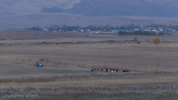 Фотография к новости: Теміртаулықтарға  жер телімі беріледі