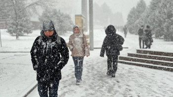 Фотография к новости: Алматы тұрғындарына көктайғаққа байланысты ескерту жасалды