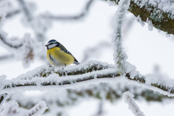 Алдағы демалыс күндері аяздың беті қайта ма