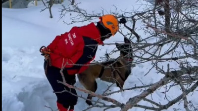 Жедел-құтқару жасағының кинологтары "Қар көшкіні" сабағын өткізді