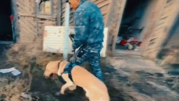 Фотография к новости: Жыл басынан бері қызметтік иттердің көмегімен 575 қылмыс ашылды