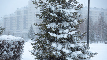 Фотография к новости: 10 облыста күн райына байланысты ескерту жарияланды