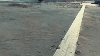 Фотография к новости: Мемлекетке Каспий теңізінің жағалауы бойындағы 3,4 мың гектар жер қайтарылды