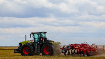 Фотография к новости: Күріш алқабы азаяды