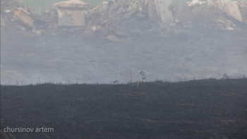 Фотография к новости: Ақмола облысында өрттен ер адам қаза тапты