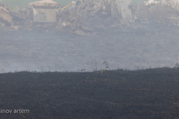 Фотография к новости: Ақмола облысында өрттен ер адам қаза тапты