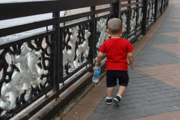 Фотография к новости: Дүйсенова: Шетелдіктер асырап алған балалар Қазақстан азаматтығынан бас тартқан