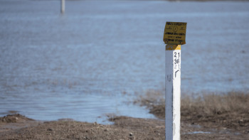Фотография к новости: "Біле тұра, ешқандай шара қабылдамайды". Бектенов әкімдерді сынады