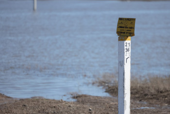 Фотография к новости: "Біле тұра, ешқандай шара қабылдамайды". Бектенов әкімдерді сынады