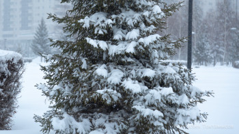 Фотография к новости: Шығыста  -63 градус аяз болды ма? -  Қазгидромет түсініктеме берді