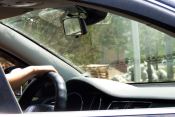 Фотография к новости: Елде қанша көлік бар