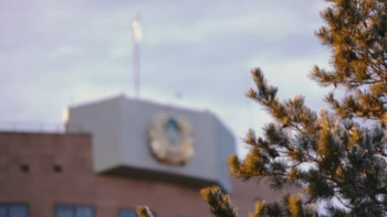 Фотография к новости: ІІМ трансұлттық ұйымдасқан қылмыстық топқа тосқауыл қойды