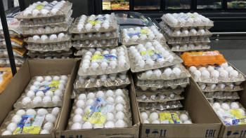 Фотография к новости: Елімізде жұмыртқа бағасы қымбаттай ма? - министр жауап берді