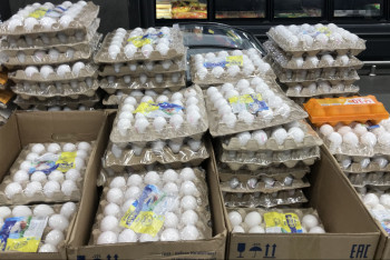 Фотография к новости: Елімізде жұмыртқа бағасы қымбаттай ма? - министр жауап берді