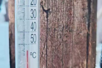 Фотография к новости: - 55 градус: Семей орманында соңғы 20 жылдағы ең төмен температура тіркелді