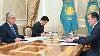 Фотография к новости: Президент газ саласын кешенді түрде дамытуды тапсырды