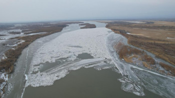 Фотография к новости: Дронмен тексеру жүргізілді. ТЖМ Іле өзеніндегі жағдайды айтты