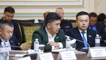 Фотография к новости: Байқамай боқтап жіберген депутат 80 мың айыппұл арқалады