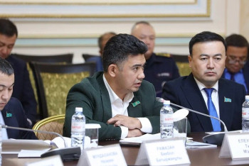 Байқамай боқтап жіберген депутат 80 мың айыппұл арқалады