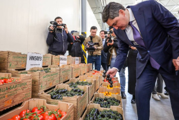 Фотография к новости: "Мемлекет көмектеседі". Бектенов отандық өнімдермен қамту шараларын күшейтуді тапсырды