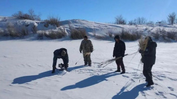 Фотография к новости: Қарағанды облысында балықтарды қорғау шаралары жүргізіліп жатыр