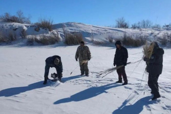 Фотография к новости: Қарағанды облысында балықтарды қорғау шаралары жүргізіліп жатыр
