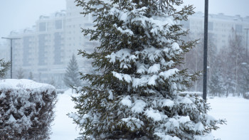 Фотография к новости: Жексенбі, 25 ақпанға арналған ауа райы болжамы