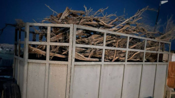 Фотография к новости: Полиция Жамбыл облысының тұрғынынан заңсыз кесілген сексеуіл тәркіледі