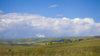 Фотография к новости: Мемлекет басшысы жайылымдарды пайдалану туралы заңға қол қойды