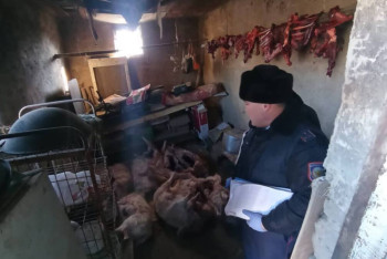 Фотография к новости: Қызылорда облысында киік ұшасын сақтаған тұрғын құрықталды