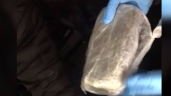 Фотография к новости: Полиция шетелдік азаматтан құны 3 млн теңге болатын гашиш тәркіледі