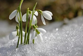 "Көктем тек күнтізбеде".  Наурыздағы күн райы анықталды