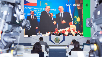 Фотография к новости: Қазақстанға Чехиядан 9 бас Пржевальский жылқысы әкелінеді